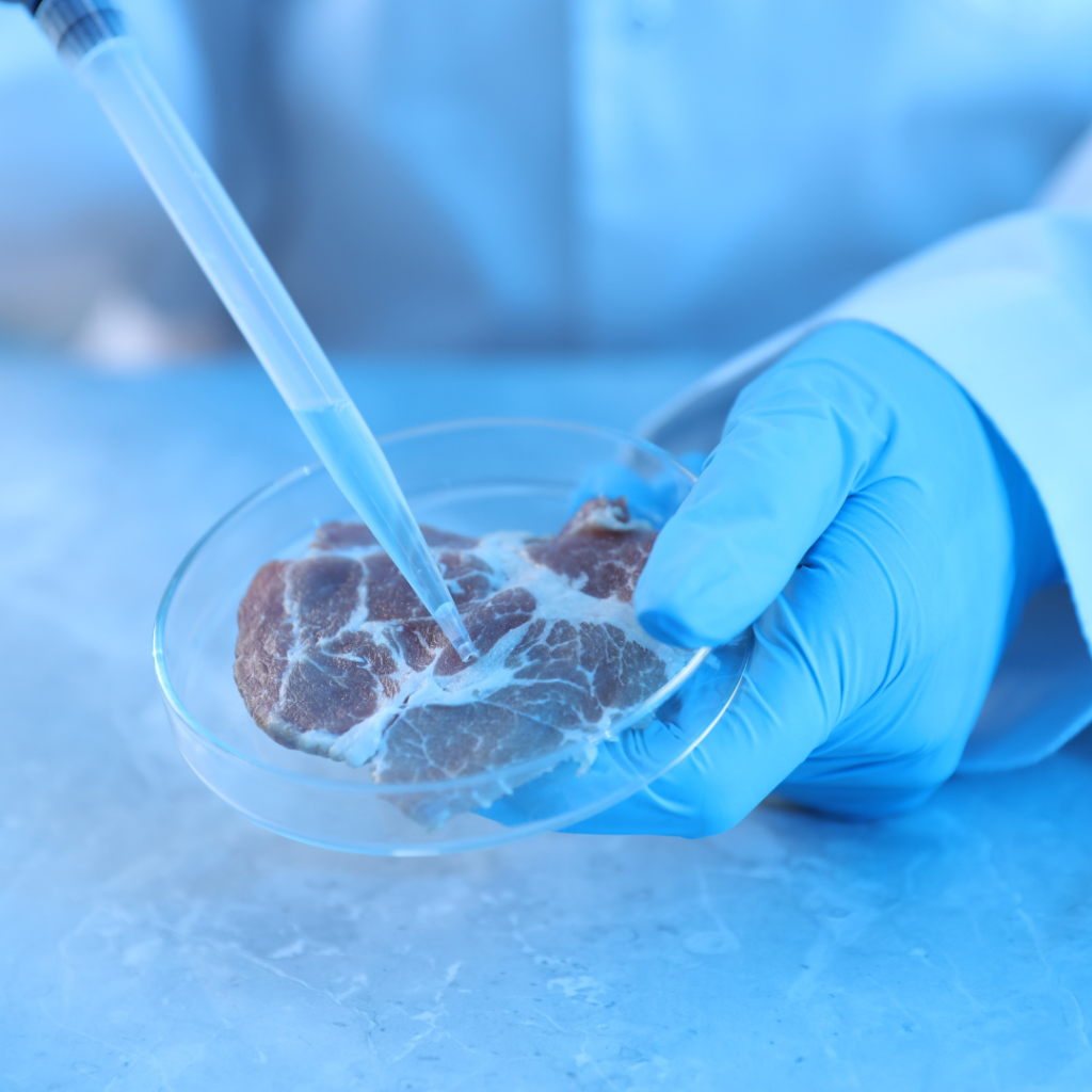Career Opportunities in Regenerative Medicine