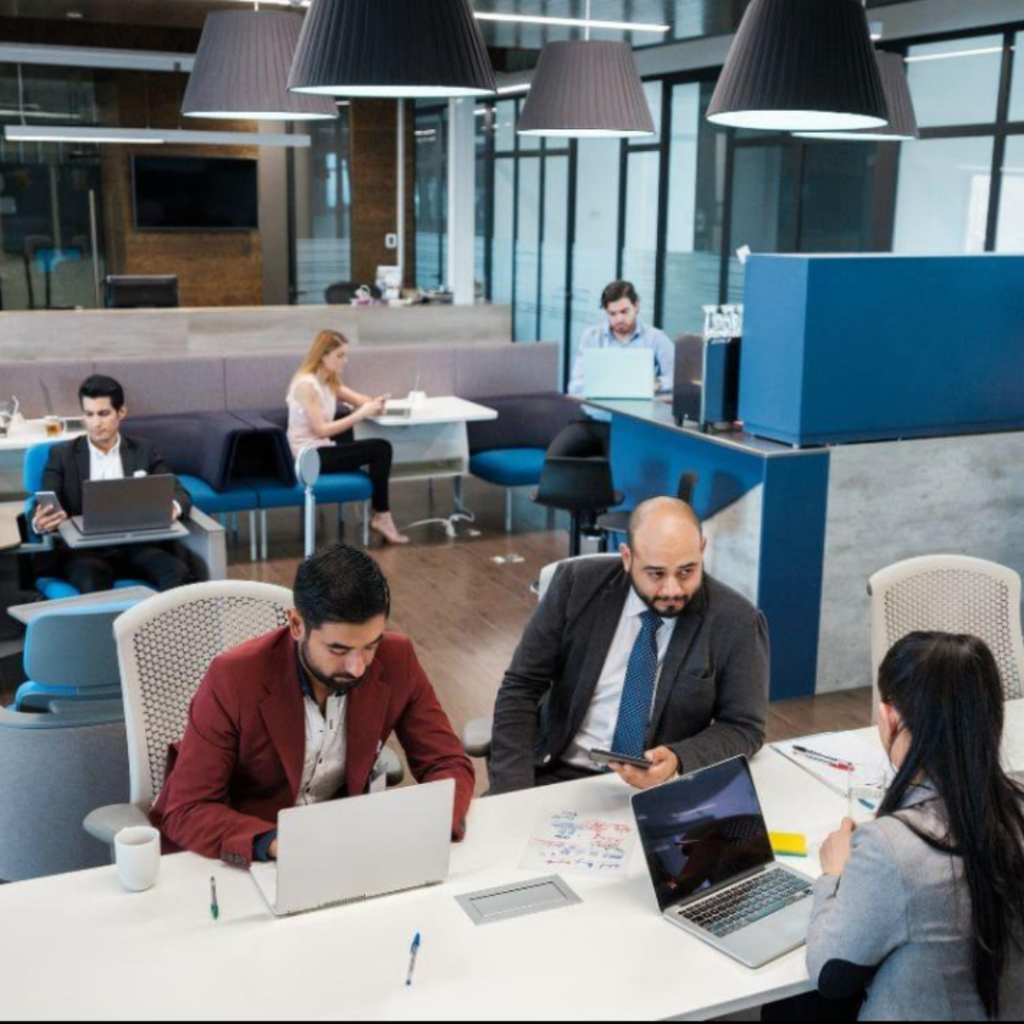 Startup MNC or Mid-Size Company